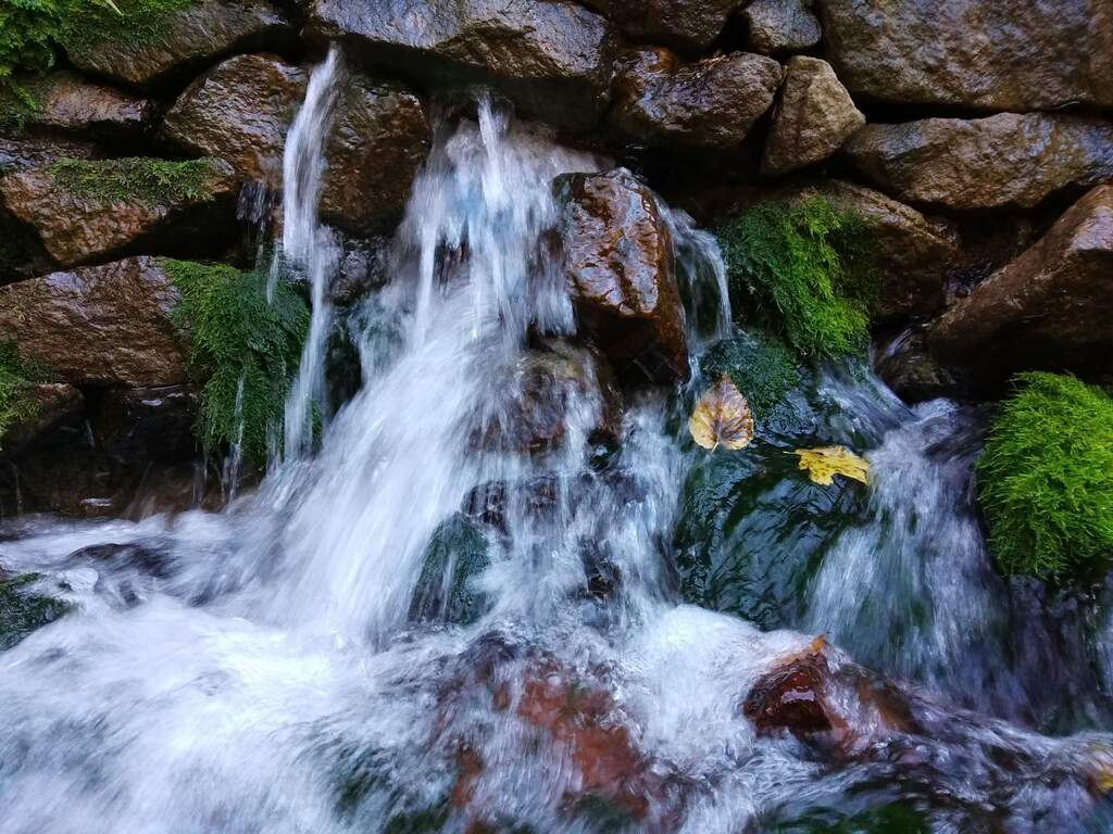 Водный сплав по реке Дон от д. Матюшино до г. Павловск (длина 440 км) - фото