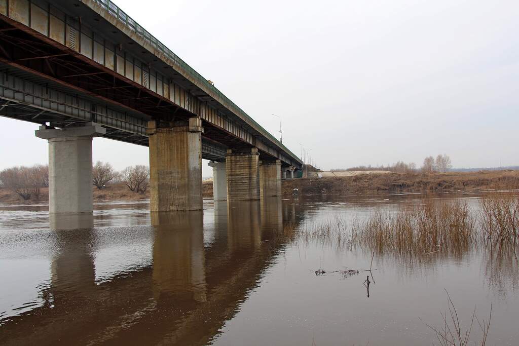 Водный сплав по реке Дон от д. Матюшино до г. Павловск (длина 440 км) - фото