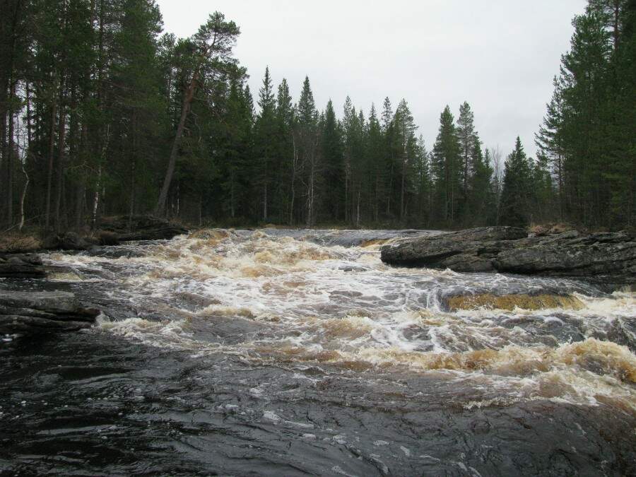 Водный сплав по реке Шуя от п. Суоёки до г. Петрозаводск (длина 206 км) - фото