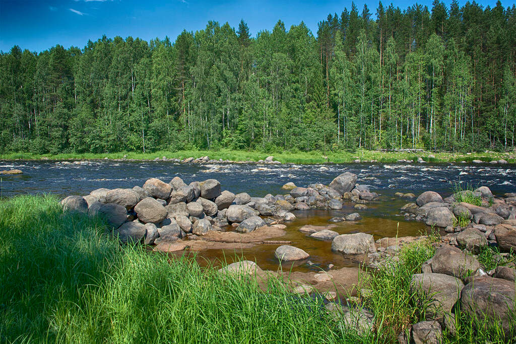 Водный сплав по реке Шуя от п. Суоёки до г. Петрозаводск (длина 206 км) - фото