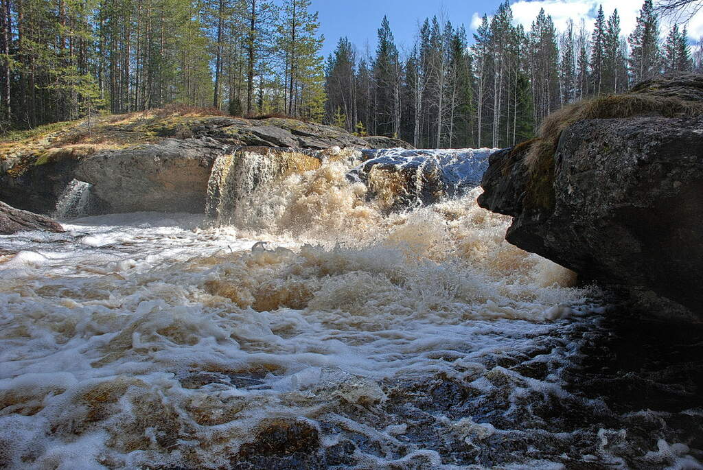 Водный сплав по реке Шуя от п. Суоёки до г. Петрозаводск (длина 206 км) - фото