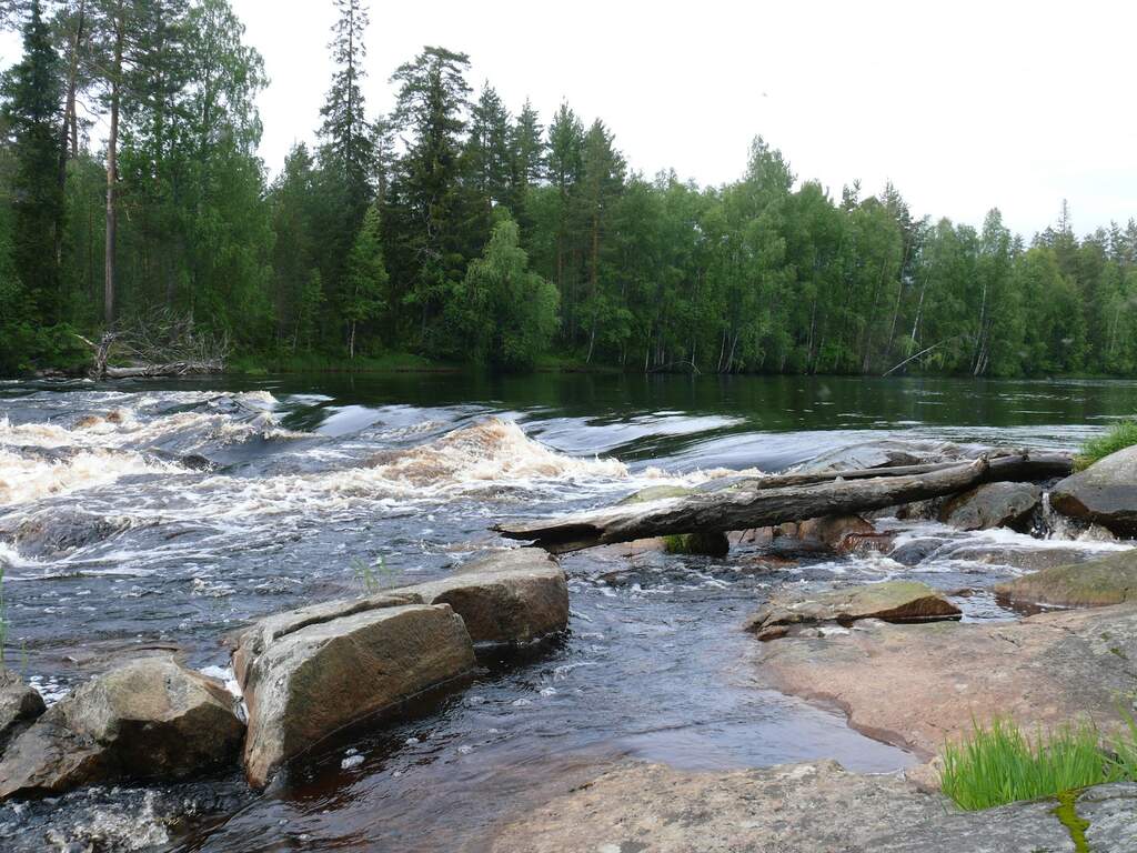 Водный сплав по реке Шуя от п. Суоёки до г. Петрозаводск (длина 206 км) |  Tripmir