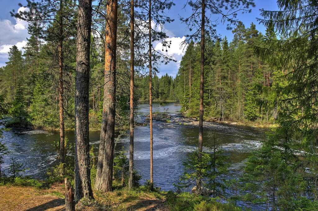 Водный сплав по реке Шуя от п. Суоёки до г. Петрозаводск (длина 206 км) - фото