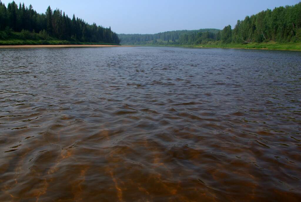 Водный сплав по реке Пинега от г. Котлас до г. Архангельск (длина 963 км) - фото