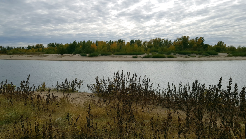 Водный сплав на вёсельной ПВХ лодке по реке Ахтуба (длина маршрута 485 км) - фото