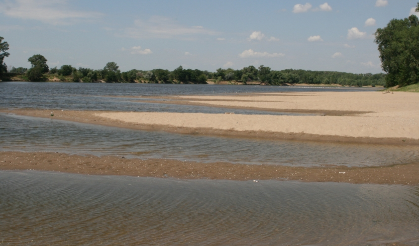 Водный сплав на вёсельной ПВХ лодке по реке Ахтуба (длина маршрута 485 км) - фото