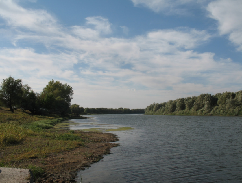 Водный сплав на вёсельной ПВХ лодке по реке Ахтуба (длина маршрута 485 км) - фото