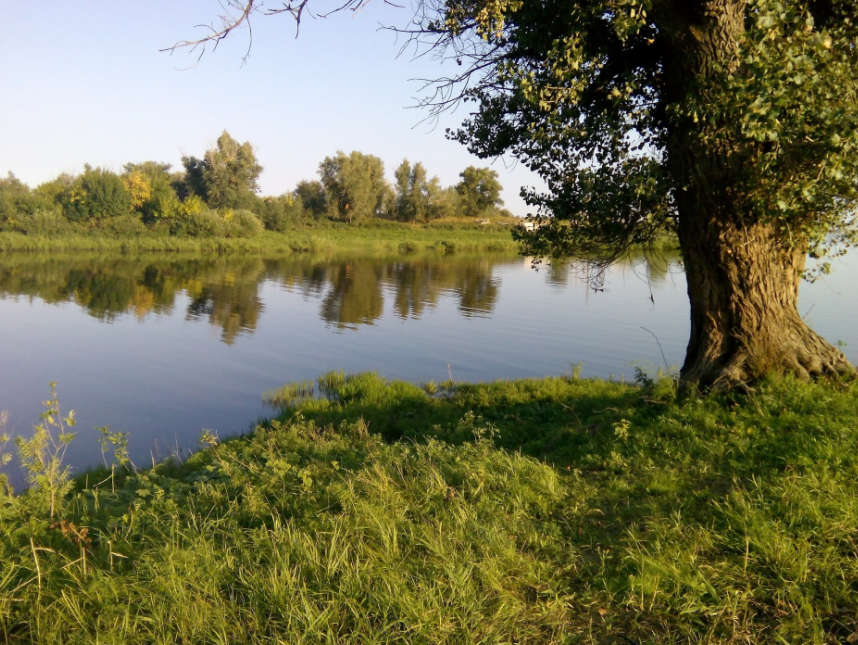 Водный сплав на вёсельной ПВХ лодке по реке Ахтуба (длина маршрута 485 км) - фото