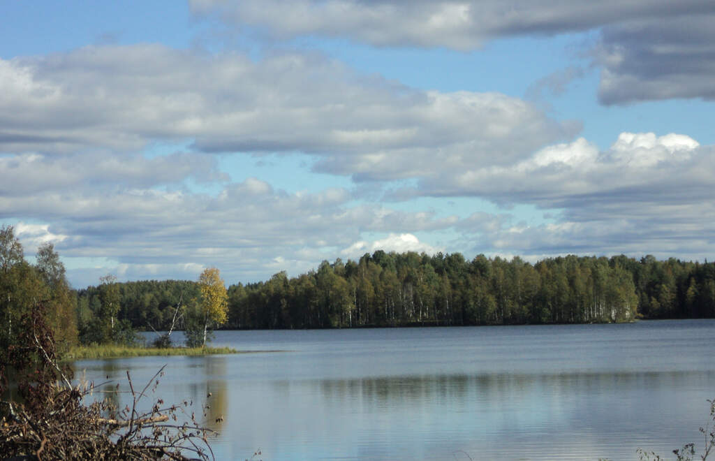 Водный сплав по реке Лижма и шхерам Онежского озера (длина маршрута 192 км) - фото