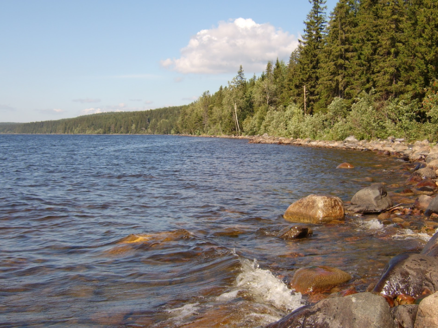 Водный сплав по реке Лижма и шхерам Онежского озера (длина маршрута 192 км) - фото