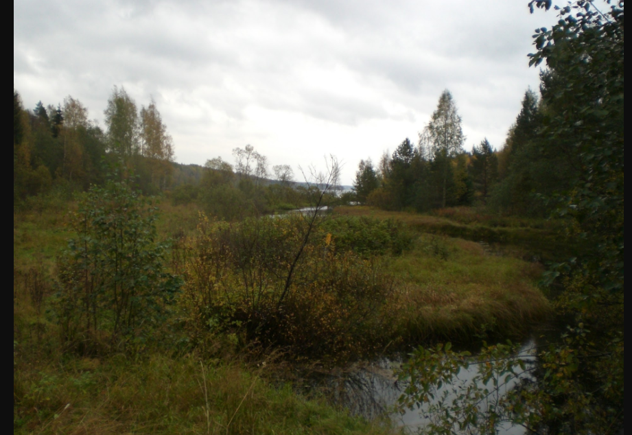 Водный сплав по реке Лижма и шхерам Онежского озера (длина маршрута 192 км) - фото