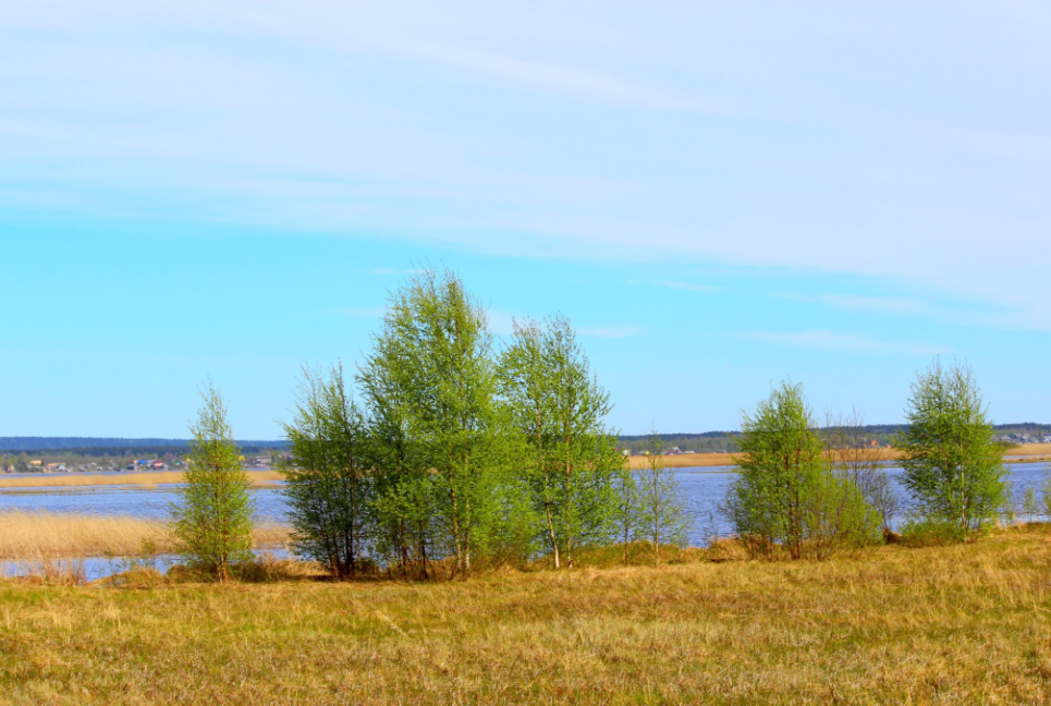 Водный сплав по реке Лижма и шхерам Онежского озера (длина маршрута 192 км) - фото