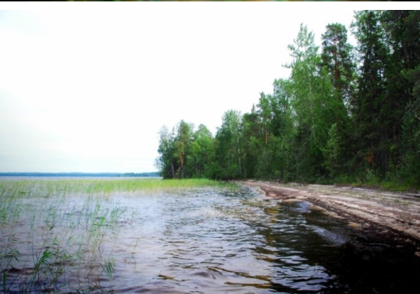 Водный сплав по реке Лижма и шхерам Онежского озера (длина маршрута 192 км) - фото