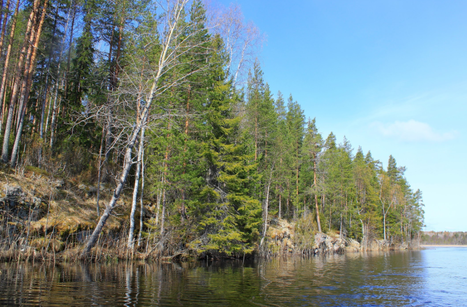 Водный сплав по реке Лижма и шхерам Онежского озера (длина маршрута 192 км) - фото