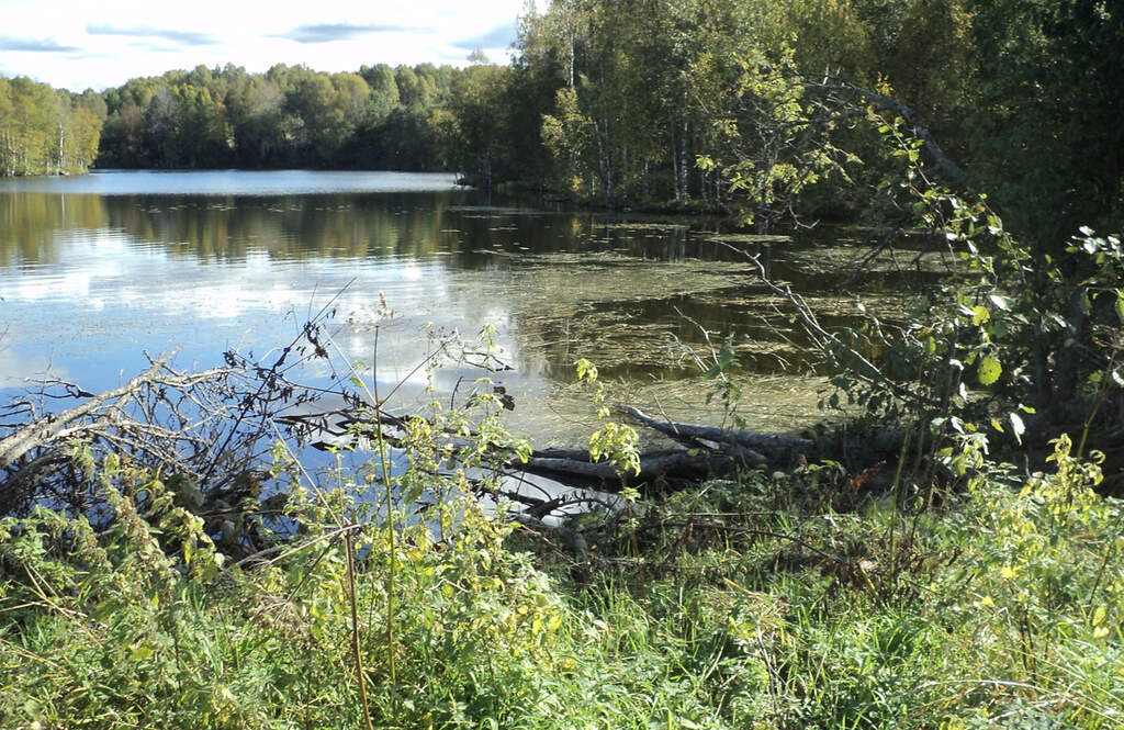 Водный сплав по реке Лижма и шхерам Онежского озера (длина маршрута 192 км) - фото