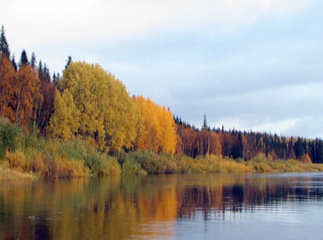 Водный сплав по реке Большая Сыня от п. Сыня до п. Усинск (длина 161 км) - фото