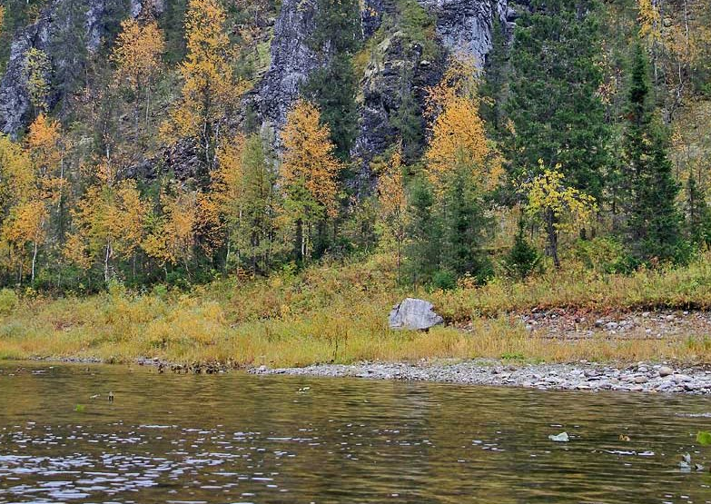 Водный сплав по реке Большая Сыня от п. Сыня до п. Усинск (длина 161 км) - фото