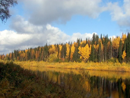 Водный сплав по реке Большая Сыня от п. Сыня до п. Усинск (длина 161 км) - фото