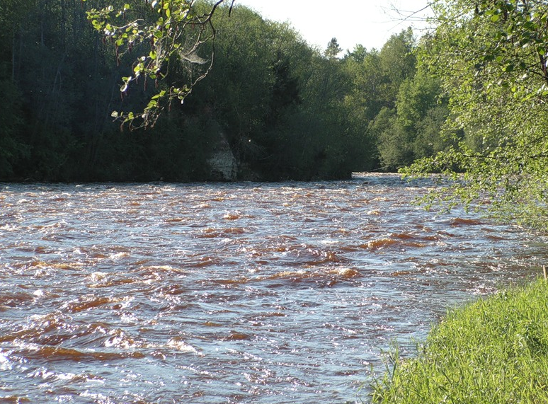 Водный сплав по реке Мста от п. Мста до г. Великий Новгород (длина 422 км) - фото