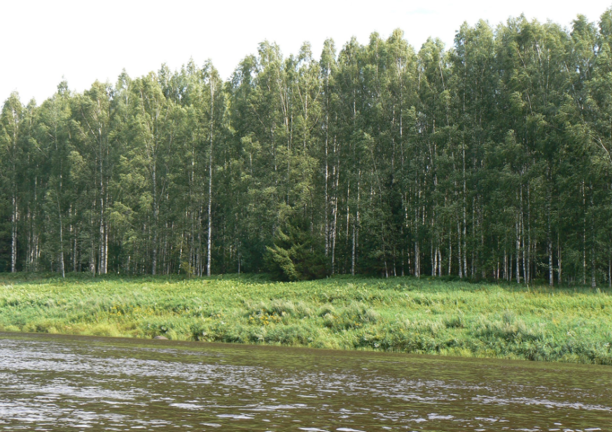 Водный сплав по реке Мста от п. Мста до г. Великий Новгород (длина 422 км) - фото