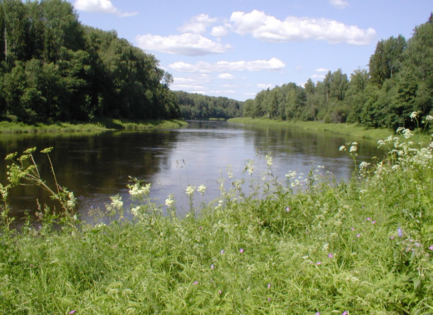 Водный сплав по реке Мста от п. Мста до г. Великий Новгород (длина 422 км) - фото