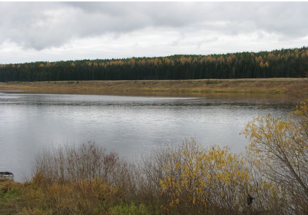 Водный сплав по реке Ижма, Республика Коми (длина 371 км) - фото