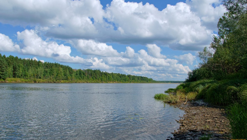 Водный сплав по реке р.Ветлуга (длина маршрута 524 км) - фото