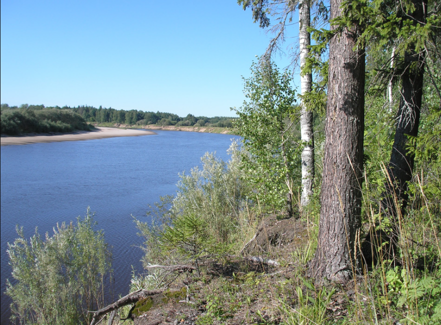 Водный сплав по реке р.Ветлуга (длина маршрута 524 км) - фото