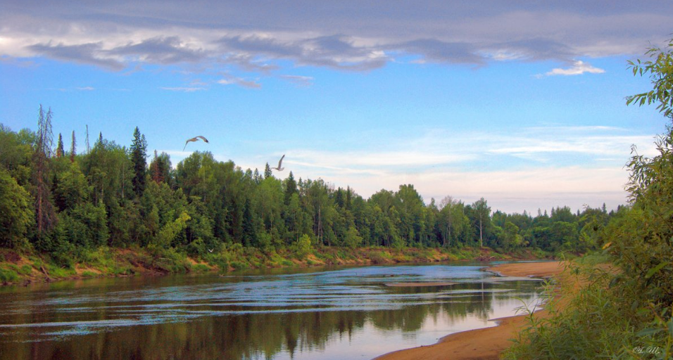 Водный сплав по реке р.Ветлуга (длина маршрута 524 км) - фото