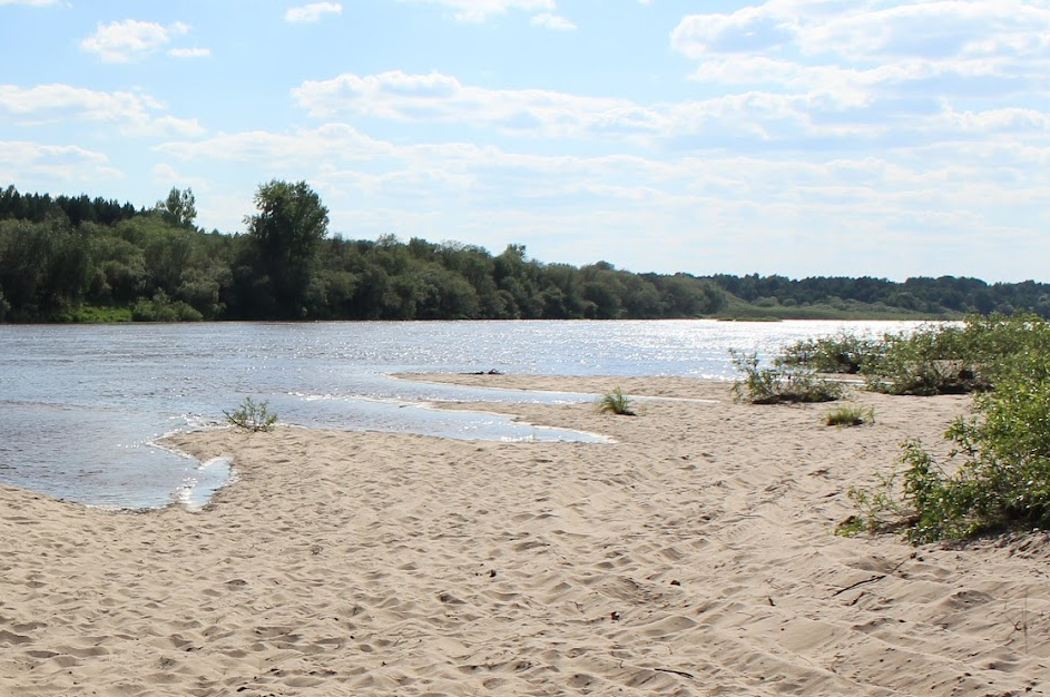 Водный сплав по реке р.Ветлуга (длина маршрута 524 км) - фото