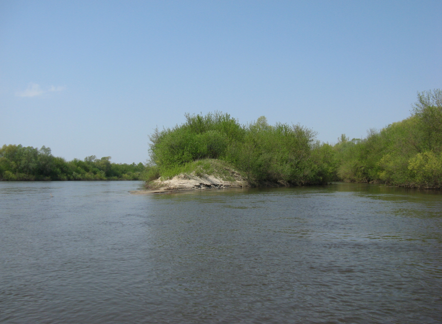 Вода в реке сура. Река Сура в Чувашии. Река Сура в Пензенской области. Сура река лысая гора. Река Сура в Челябинской области.