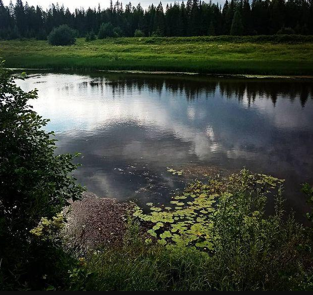 Водный сплав по реке Вятка от д. Ежова до г. Киров (длина маршрута 557 км) - фото