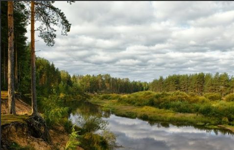 Водный сплав по реке Вятка от д. Ежова до г. Киров (длина маршрута 557 км) - фото