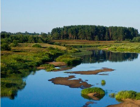 Водный сплав по реке Вятка от д. Ежова до г. Киров (длина маршрута 557 км) - фото