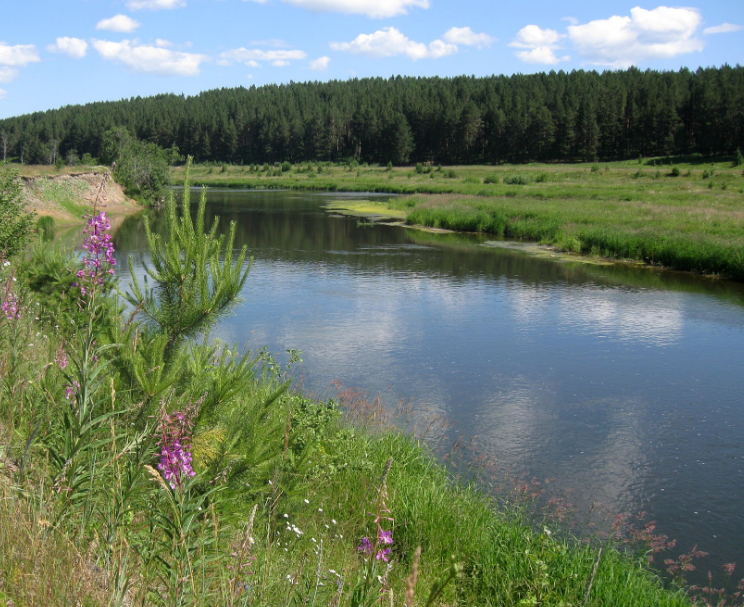 Водный сплав по реке Чусовая от п. Коуровка до д. Адищево (длина  529 км) - фото