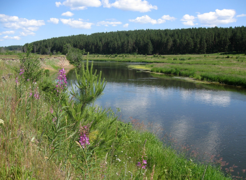 Водный сплав по реке Чусовая от п. Коуровка до д. Адищево (длина  529 км) - фото