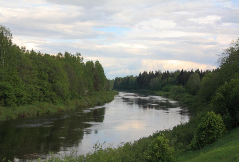 Водный сплав по реке Межа от г. Нелидово до г. Велиж (длина маршрута 212 км) - фото