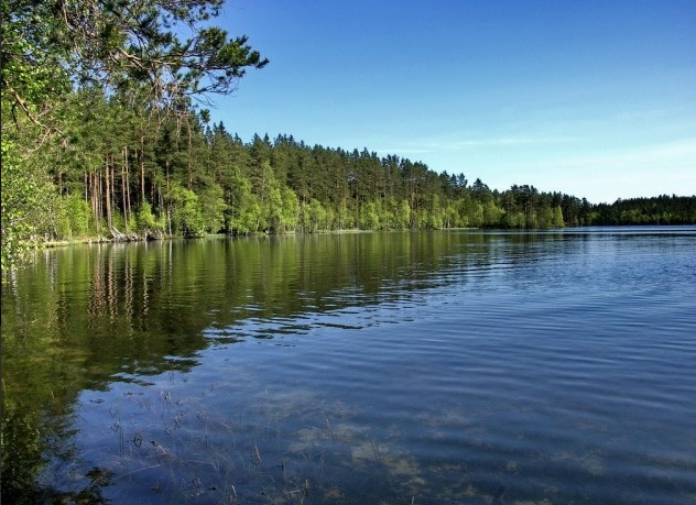 Водный сплав по реке Межа от г. Нелидово до г. Велиж (длина маршрута 212 км) - фото