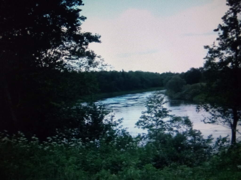 Водный сплав по реке Межа от г. Нелидово до г. Велиж (длина маршрута 212 км) - фото
