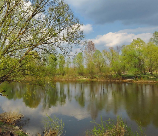 Водный сплав по р. Днепр от г. Дорогобуж до д. Хлыстовка (длина 274 км) - фото