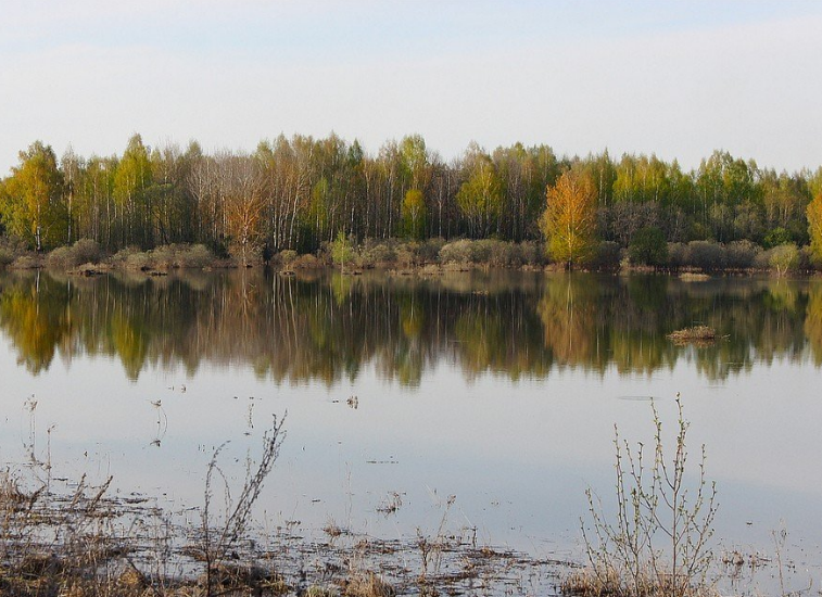 Водный сплав по р. Днепр от г. Дорогобуж до д. Хлыстовка (длина 274 км) - фото