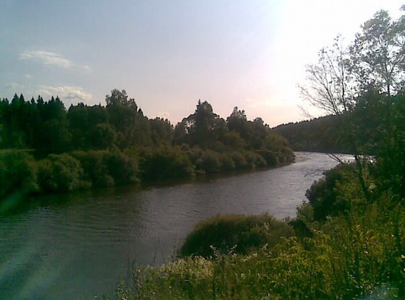 Водный сплав по р. Днепр от г. Дорогобуж до д. Хлыстовка (длина 274 км) - фото