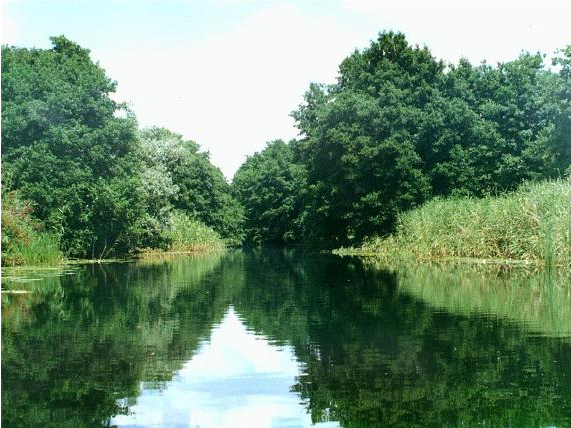 Водный сплав по р. Днепр от г. Дорогобуж до д. Хлыстовка (длина 274 км) - фото