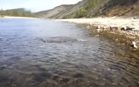 Водный сплав по рекам Туолба-Лена до с. Рассолода (длина маршрута 561 км) - фото