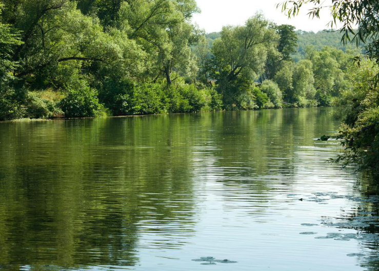 Водный сплав по реке Осётр от Серебряные Пруды до Коломны (длина 134 км) - фото