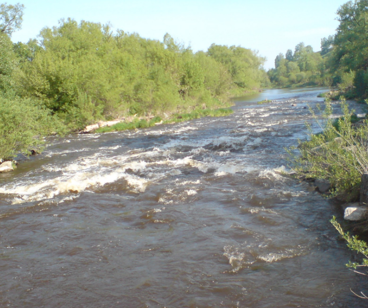 Река осетр серебряные пруды