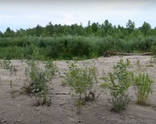 Водный сплав по рекам Инзер, Сим, Белая от с. Инзер до г. Уфа (длина 241 км) - фото