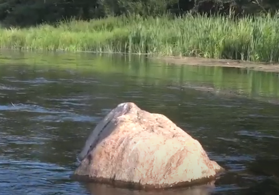 Водный сплав по р. Нерль от д. Плечёво до п. Боголюбово (длина маршрута 233 км) - фото