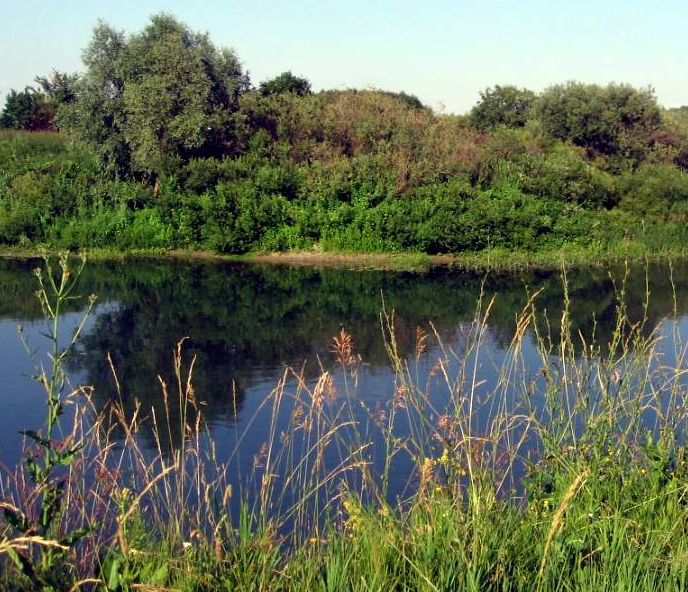 Водный сплав по реке Пьяна от г. Перевоз до п. Пильна (длина маршрута 190 км) - фото