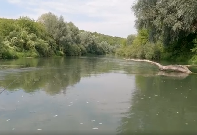 Водный сплав по реке Пьяна от г. Перевоз до п. Пильна (длина маршрута 190 км) - фото